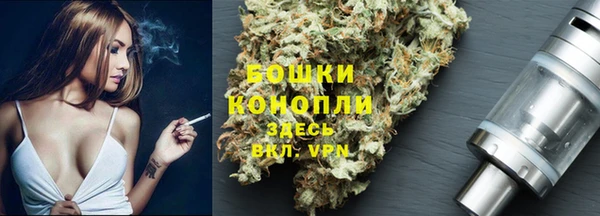 спайс Ладушкин