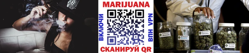 Купить закладки  Петровск-Забайкальский  Бошки марихуана OG Kush 